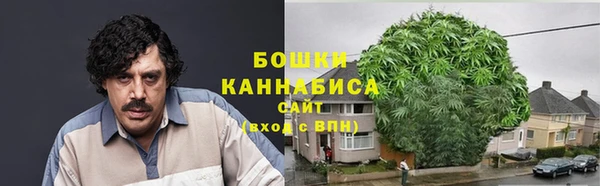 амф Вяземский