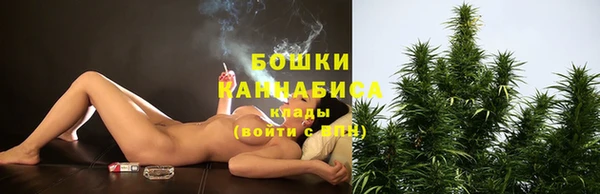 мдпв Волосово