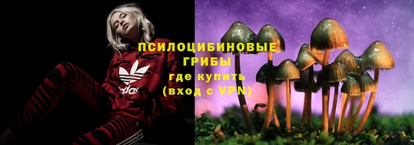 героин Болотное